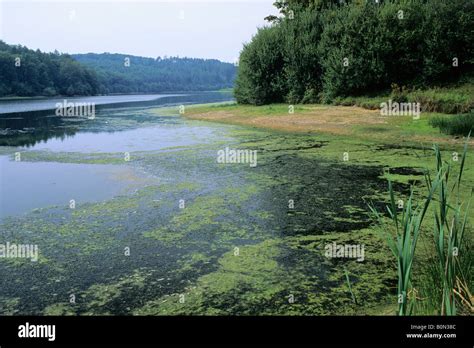 Ardingly Reservoir, Ardingly, Sussex, England, UK Stock Photo - Alamy