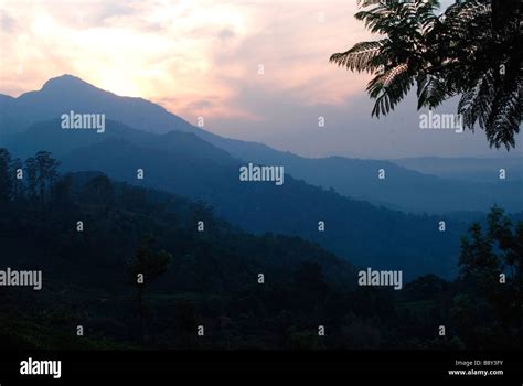 sun rise in munnar; Kerala , India Stock Photo - Alamy