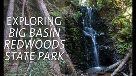 Big Basin Redwoods State Park Hikes: Berry Creek Falls & Redwoods Trail - YouTube