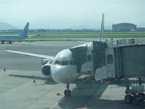 Air Busan Flights and Reviews (with photos) - Tripadvisor