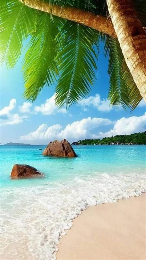 Rêve d'été - VOYAGE ONIRIQUE | Beautiful beach pictures, Beach wallpaper, Beautiful beaches