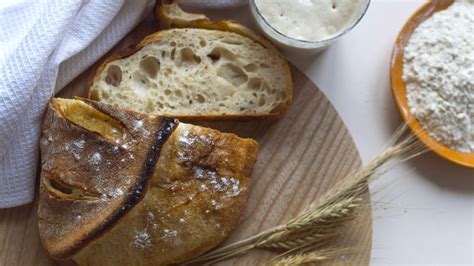 The Basics of Bread Fermentation | Wild + Whole