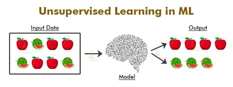 Unsupervised Learning|QuizManthon.com