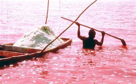 Amazing Pink Salt Lake in Senegal