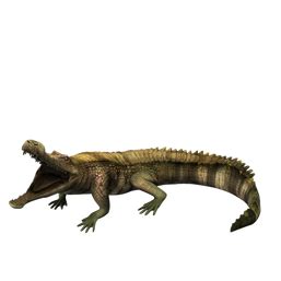 Sarcosuchus | Jurassic Park Wiki | FANDOM powered by Wikia