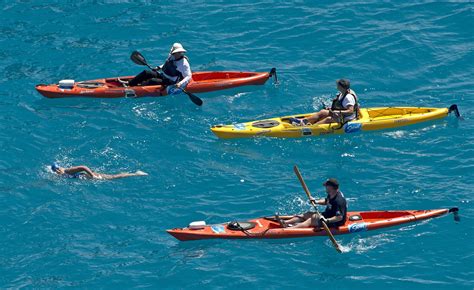 Sharks Absent, Swimmer, 64, Strokes From Cuba to Florida - NYTimes.com