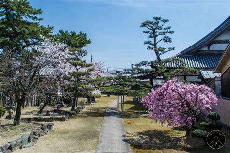 What To Do In Wakayama - The 10 Most Beautiful Places To Visit