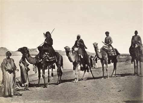 Camel Caravan C1900. Na Camel Caravan At El Qantara Egypt On The East Bank Of The Suez Canal ...