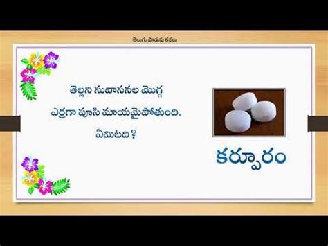 Telugu Podupu Kathalu - Famous Telugu Riddles with answers # 55 in 2021 | Riddles with answers ...