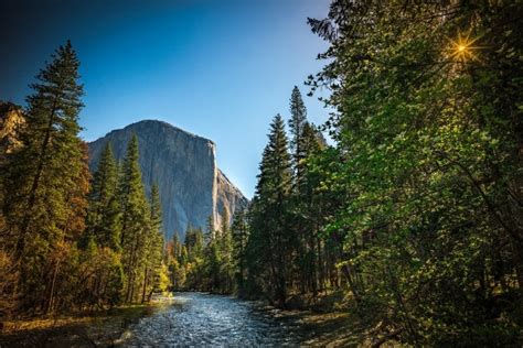 San Francisco to Yosemite by Under30Experiences - 425...