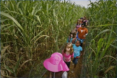 Corn Mazes in USA - ToursMaps.com