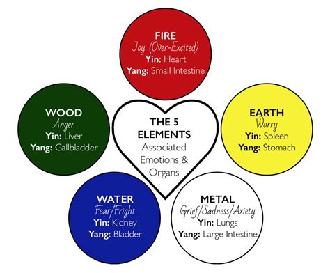 Exclusive: TCM: The Five Elements Theory - How the 5 Organs Help Each Other ~ Natural Health ...