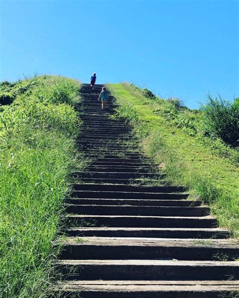 5 Things to Know: Moundville Archaeological Park - Birmingham Mommy