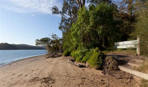 Beach campground | NSW National Parks