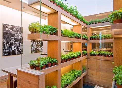 VAPIANO FRESH HERBS | Indoor vegetable gardening, Indoor farming, Plant ...