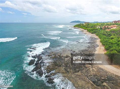 121 Tamarindo Wildlife Refuge Stock Photos, High-Res Pictures, and Images - Getty Images