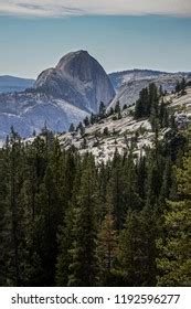 Scenic Views Tioga Pass Yosemite California Stock Photo 1192596277 | Shutterstock