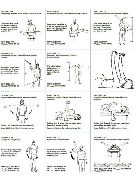 Rotator Cuff Exercise Regiment Handout.: | Shoulder exercises physical therapy, Physical therapy ...