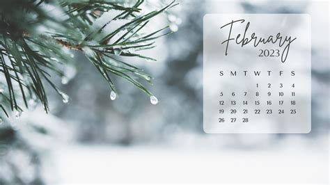 Desktop Wallpaper February 2024 Free - Deni Olivette