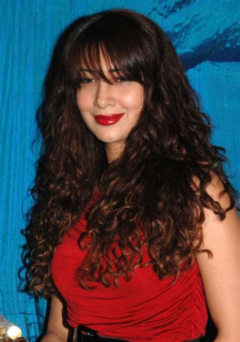 Kim Sharma Movies, News, Songs & Images - Bollywood Hungama