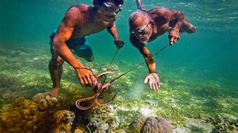 Bajau Tribe: People and Cultures of the World | THE WORLD HOUR