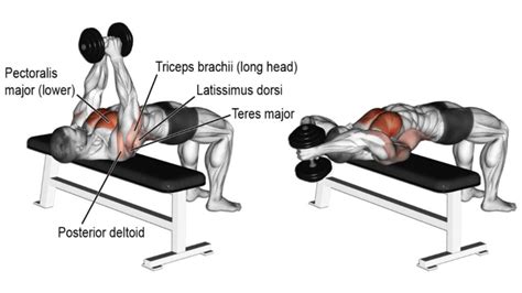 Lower Chest Dumbbell Exercises to Build Muscle & Definition