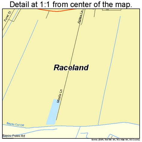 Raceland Louisiana Street Map 2263155