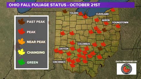 Fall Foliage | Check the leaf color across Ohio 2020 | wkyc.com