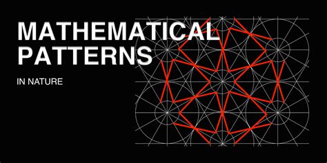 Mathematical Patterns In Nature