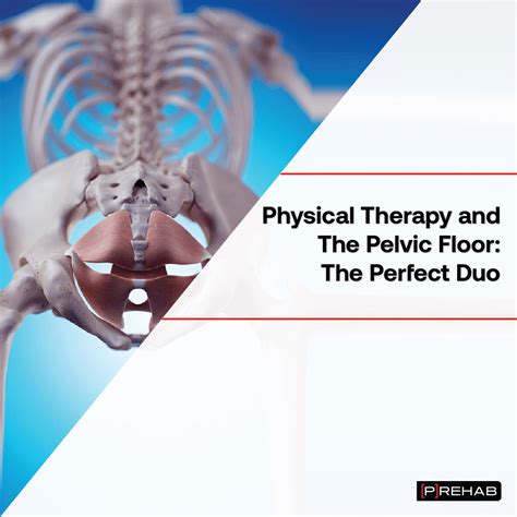 Physical Therapy And Pelvic Floor Exercises: The Perfect Duo - [P]rehab