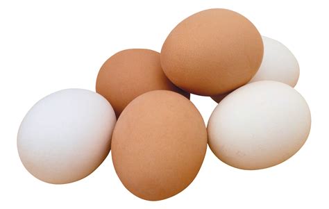 Free Egg PNG Transparent Images, Download Free Egg PNG Transparent ...