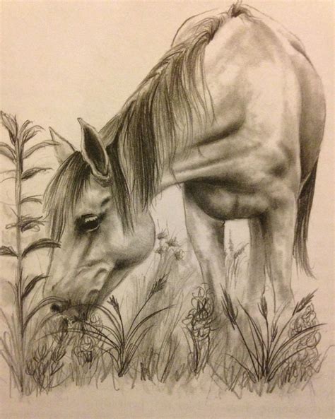 Pencil Drawing Horse Picture - pencildrawing2019