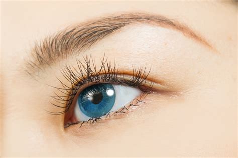 5 Beauty Tips to Know About Colored Contact Lenses