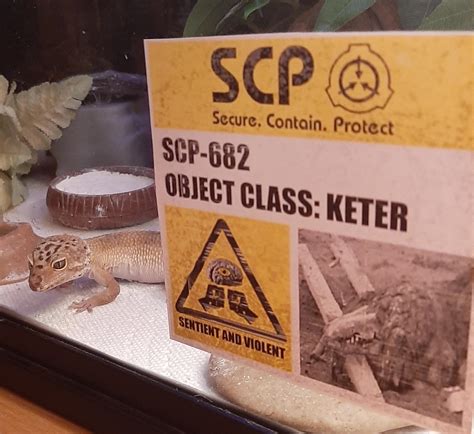 SCP-682 has been successfully contained : r/aww