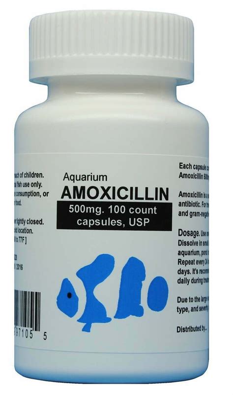 fish mox forte (Amoxicillin) 500mg | The Fish Antibiotics