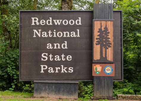 The Complete Guide to Visiting Redwood National Park - The Planet D