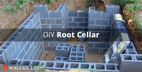 How to Build a Root Cellar in 7 Steps - Walden Labs