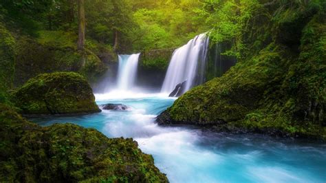 Download Green Tree Forest Nature Waterfall HD Wallpaper