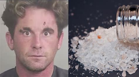 Flakka is Florida's Newest Terrifying Zombie Drug Article Cats