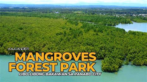 LIBO-LIBONG BAKAWAN SA MANGROVE FOREST PARK NG PANABO CITY - YouTube