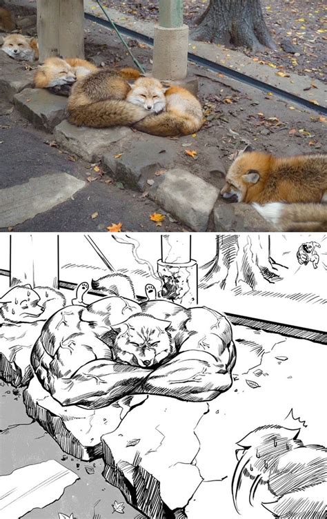 10 Times People Thought They Were Seeing Buff Animals, But They Were ...