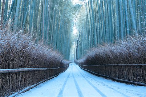 Kyoto Arashiyama Winter season :: Behance