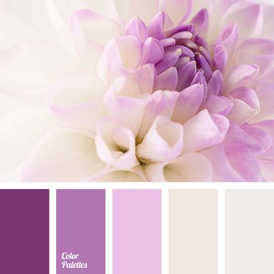 color of lilac | Color Palette Ideas