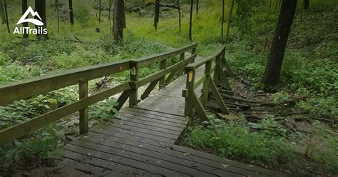 Best Trails in Mount Airy Forest - Ohio | AllTrails