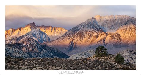 Basin Mountain, Mount Humphreys, Dawn