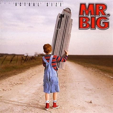 Mr. Big – Actual Size (2001, CD) - Discogs