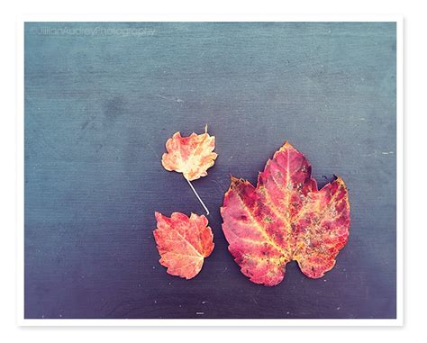 Nature Photography, Autumn Leaves Photograph, Fall Decor, Orange Brown ...