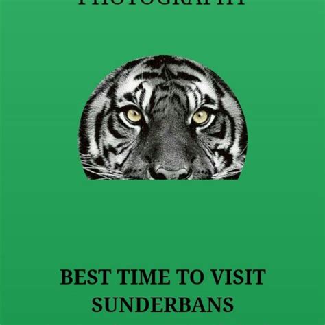 Sundarban Wildlife Photography Tour | Sundarban Birds Photography Tour