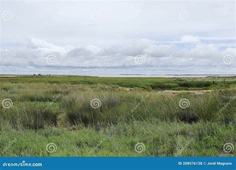 African plain landscape stock photo. Image of grass - 208576138