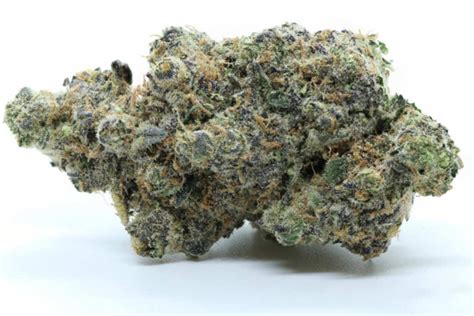 Blue Cookies Strain Review - The Lodge Cannabis Denver